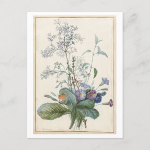 Antike Blumenpostkarte Postkarte