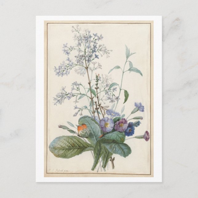 Antike Blumenpostkarte Postkarte (Vorderseite)