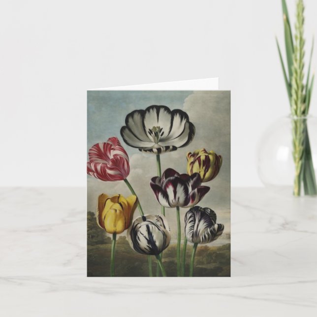Antike botanicals Tulpen auf notecards Karte (Vorderseite)
