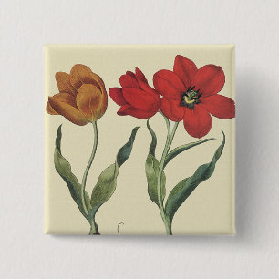 Antike Botanik, blühende Tulpenblumen und -zwiebel Button