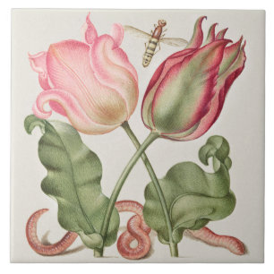 Antike Botanik Fliese
