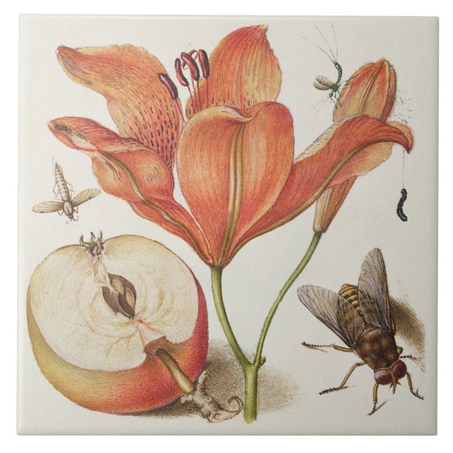 Antike Botanik Fliese (Vorderseite)