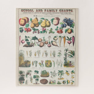 Antike botanische Grafik: Wirtschaftliche Nutzung