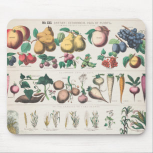 Antike botanische Grafik: Wirtschaftliche Nutzung  Mousepad