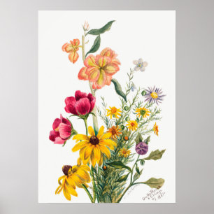 Antike botanische Illustration Poster