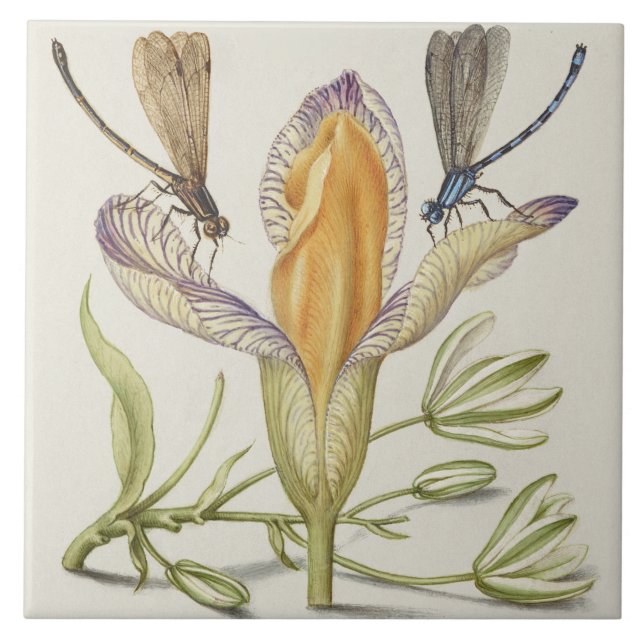 Antike botanische Keramikfliese (Vorderseite)
