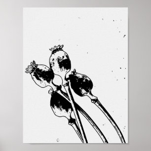 Antike botanische Linolschnitt-Skizze von Mohnkaps Poster