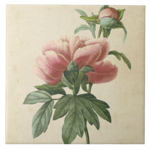 Antike botanische Pfingstrose Fliese