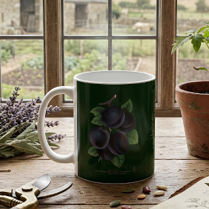 Antike botanische Pflaumen-Dunkelgrün-Kaffeetasse Kaffeetasse