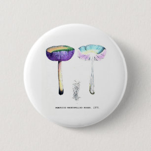 Antike Botanische Pilze Button