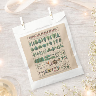 Antike botanische Schultafel Vintage Natur Geschenktütchen