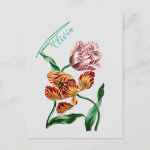 Antike botanische Tulpen-Illustration Postkarte