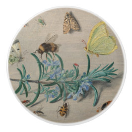 Antike botanische und Bienen-Illustration Keramikknauf