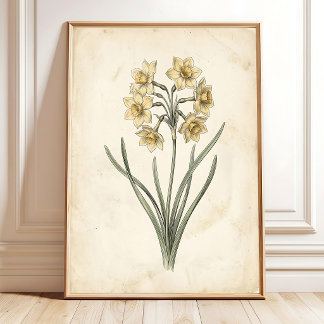 Antike botanische Vintage-Jonquil-Leinwandkunst Poster
