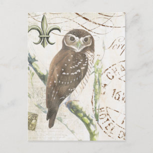 Antike braune Eulen-Postkarte Postkarte
