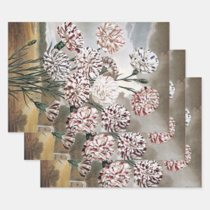 Antike buntgefleckte Nelken mit grauem Himmel Geschenkpapier Set