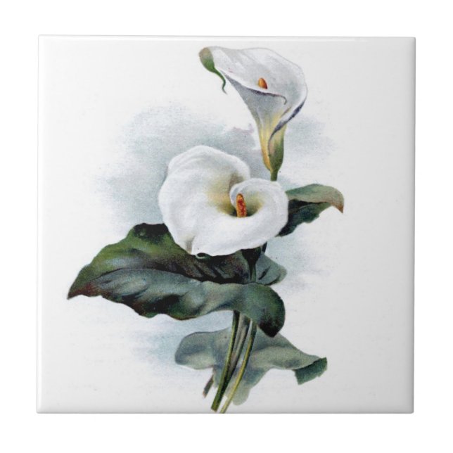 Antike Calla-Lilie Fliese (Vorderseite)