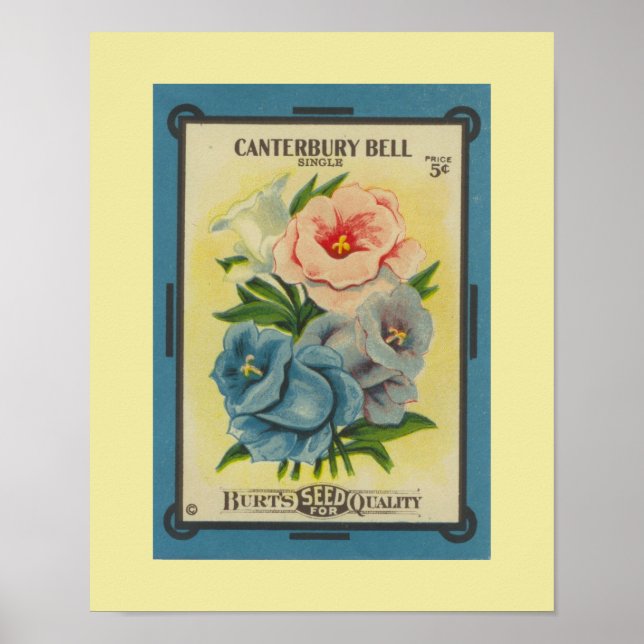 Antike Canterbury Bells Poster (Vorne)