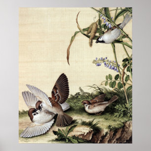 Antike Chinoiserie Spatzen und violette Blumen Poster