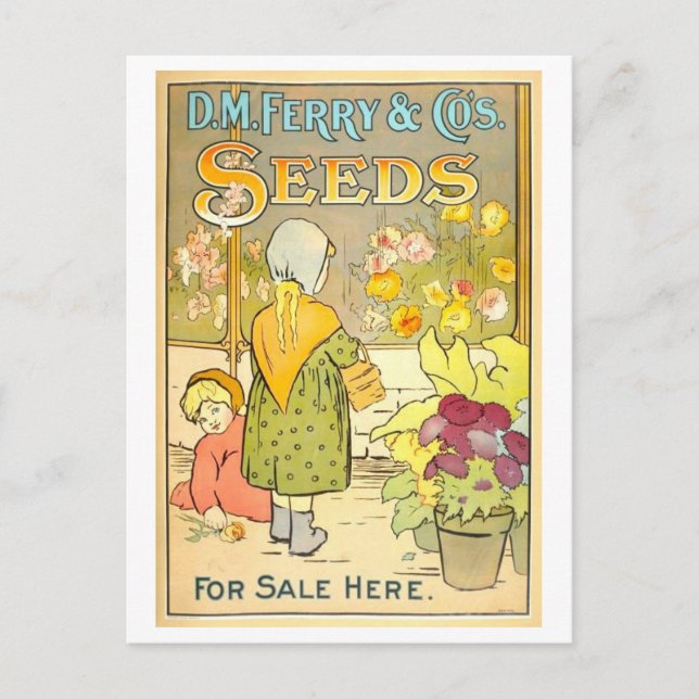 Antike D. M. Ferry & Co. Samenwerbung Postkarte (Vorderseite)