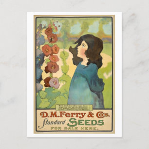 Antike D. M. Ferry & Co. Samenwerbung Postkarte