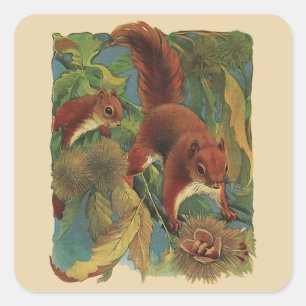 Antike Eichhörnchen, Waldtiere, Wilde Tiere Quadratischer Aufkleber