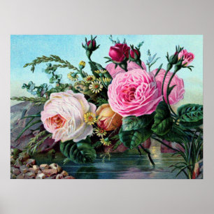 Antike englische Rosen Blumenprint Shabby Chic alt Poster