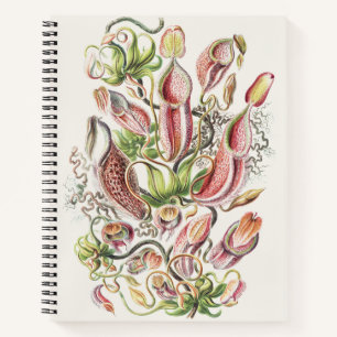 Antike Ernst Haeckel Botanische Kannenpflanze Notizbuch