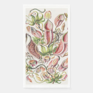 Antike Ernst Haeckel Botanische Kannenpflanze Serviette