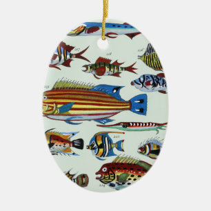 Antike farbenfrohe exotische Fische Naturgeschicht Keramik Ornament