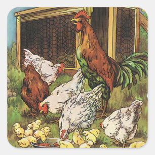 Antike Farmtiere, Hahn, Hühner, Küken Quadratischer Aufkleber