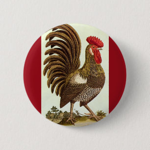 Antike Farmtiere Hühner, stolzer Hahn Button