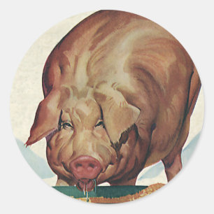 Antike Farmtiere, Schwein frisst Matsch am Trog Runder Aufkleber