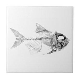 Antike Fischskelett-Radierung Fliese