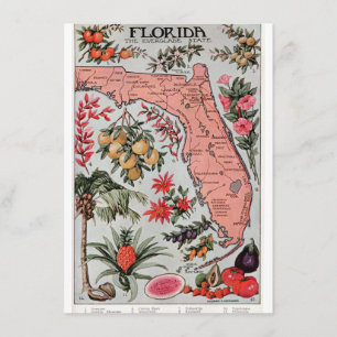 Antike Florida-Karte Einladung