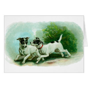 Antike Foxterrier-Illustration