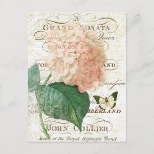 Antike französische botanische Hortensien-Postkart Postkarte