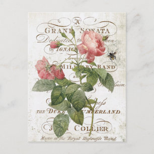 Antike französische botanische Rosen-Postkarte Postkarte