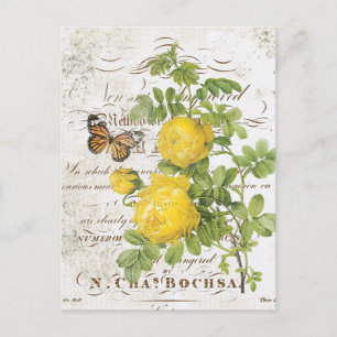 Antike französische botanische Rosen-Postkarte Postkarte