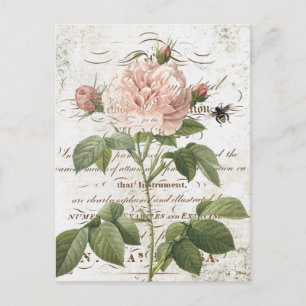 Antike französische botanische Rosen-Postkarte Postkarte