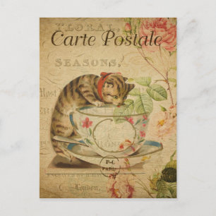 Antike französische Katze trinkt aus Teetasse Postkarte