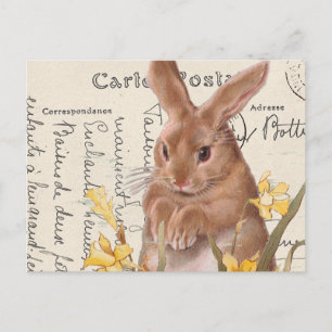 Antike französische Osterhasen-Osternarzissen-Post Postkarte