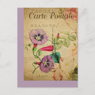 Antike französische Postkarte mit botanischem Moti