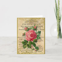 Antike französische Rose