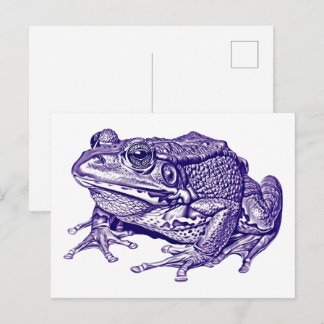 Antike Froschzeichnung Postkarte