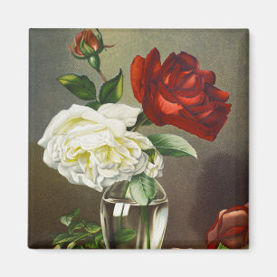 Antike Gartenrosen in einer Glasvase Magnet