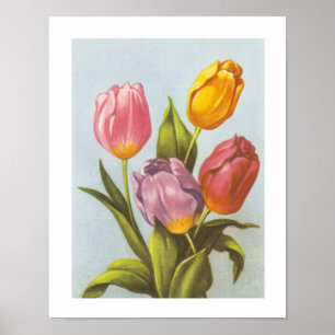 Antike gelbe, rosa und violette Tulpen Poster