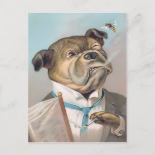 Antike Geschäfts-Hunde-Postkarte Postkarte