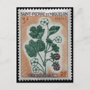 Antike gestochene Briefmarken-Postkarte Postkarte