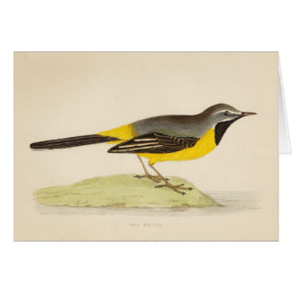 Antike graue Wagtail-Kunst